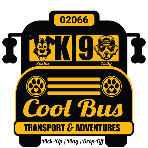 bus-k9-dog-school-bus-side-walker-south-shore-massachusetts-scituate-marshfield-norwell-cohasset-doggy-daycare-playgroup-socialize