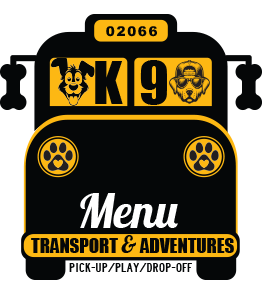 bus-k9-dog-school-bus-side-walker-south-shore-massachusetts-scituate-marshfield-norwell-cohasset-doggy-daycare-playgroup-socialize-1