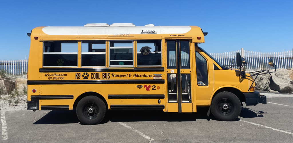 bus-k9-dog-school-bus-side-walker-south-shore-massachusetts-scituate-marshfield-norwell-cohasset-doggy-daycare.jpg